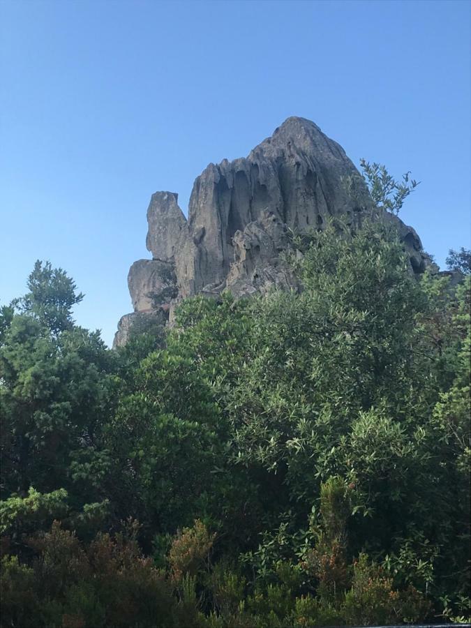 فيلا Sardegna Vicino Ad Olbia "La Casa Nel Vicolo" بيرتشيدا المظهر الخارجي الصورة
